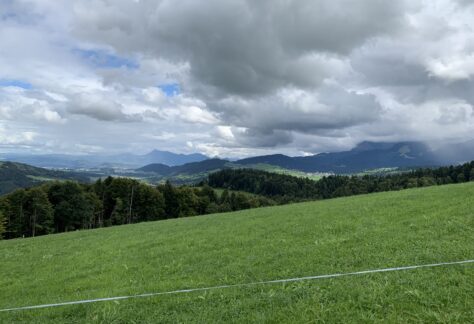 Aussicht