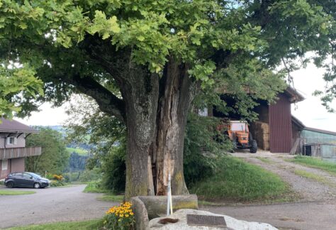 Gedenkstein